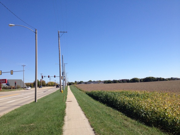 Soybeans being affected by street lights in central Illinois