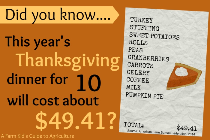 Thanksgiving fact